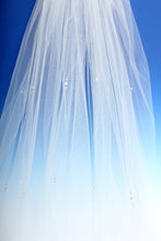 Load image into Gallery viewer, Bridal Apparel Silver Flower Scatter Veil || CGC318C