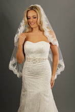 Load image into Gallery viewer, Bridal Apparel Corded Lace Edge Veil || CGC431C