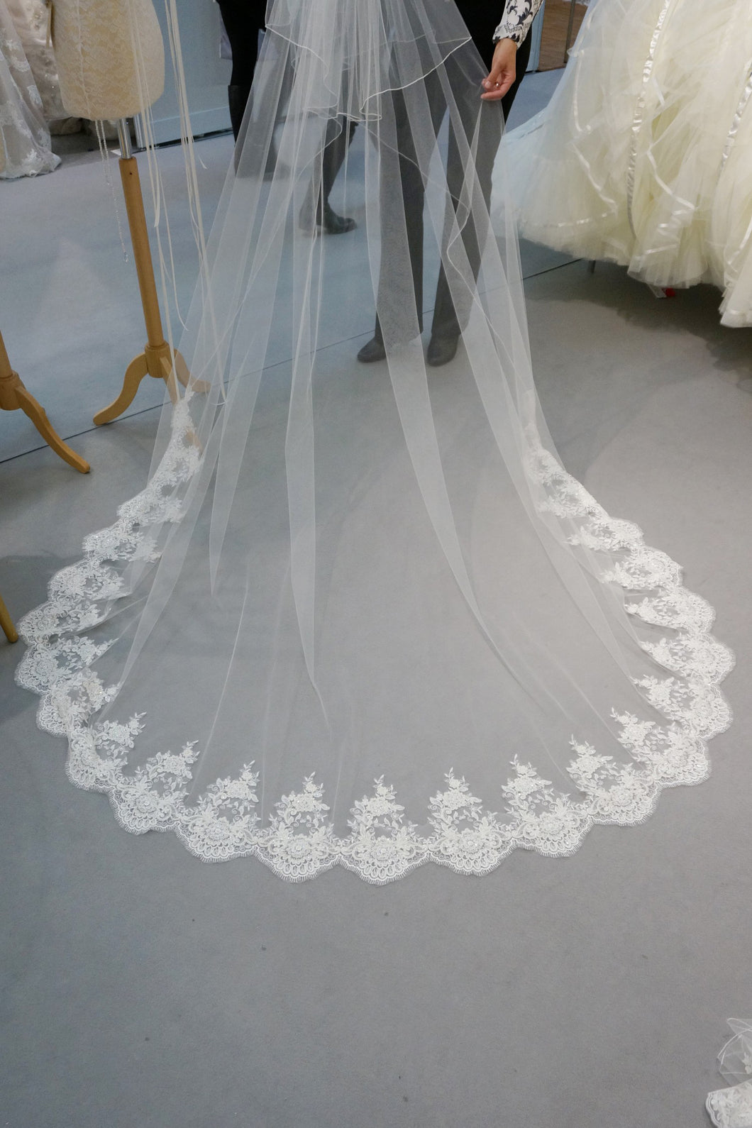 Bridal Beaded Lace Train Veil || CGC460C