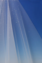 Load image into Gallery viewer, Bridal Apparel Pearl Rainfall Veil || CGC563B
